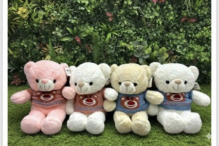 دب مع بلوزه